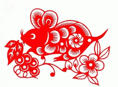 属马的生了属鼠的小孩