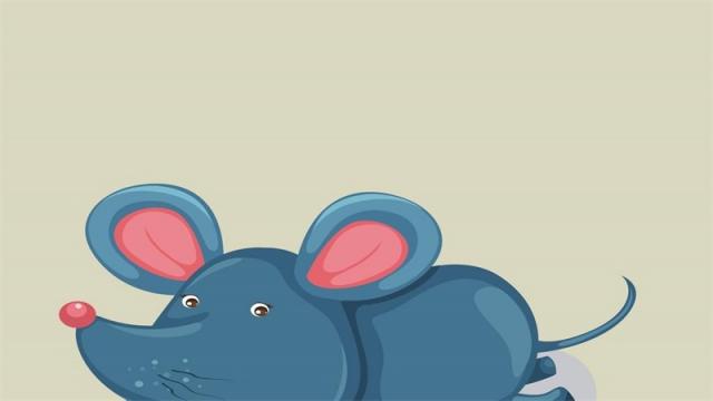 19年鼠人运势如何