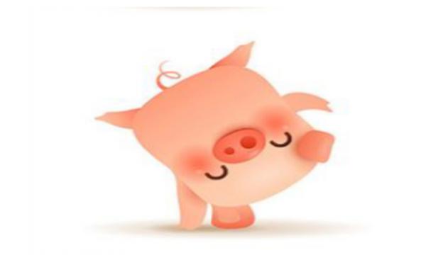 属猪今年的运势