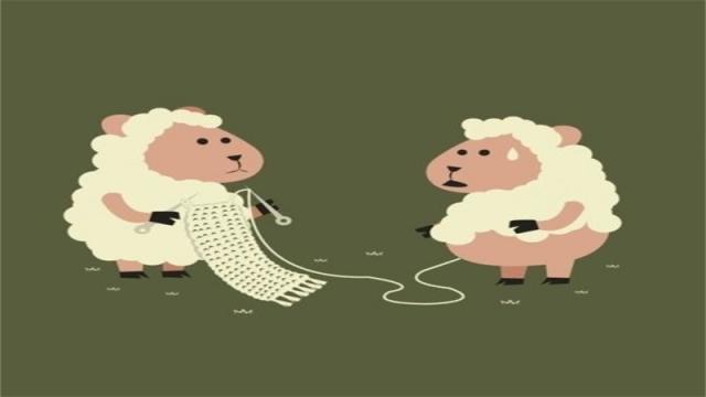 属羊的婚姻和命运如何