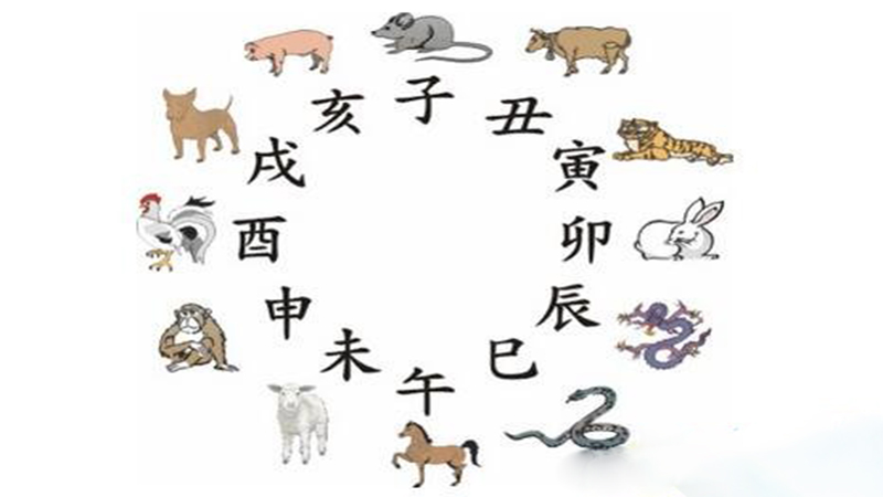 龙跟什么相冲