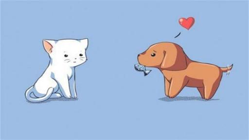 狗和猴的属相合不合