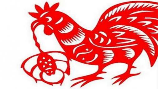 属猴和属鸡合不合