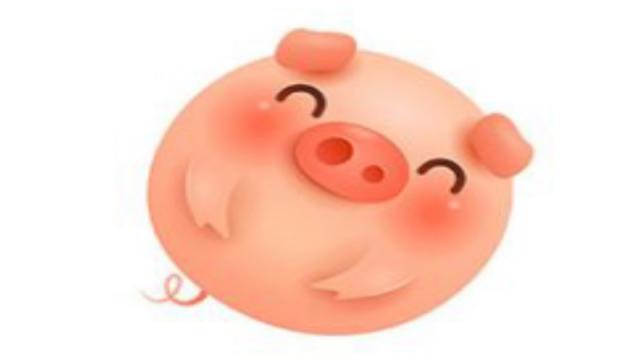 48岁属猪有灾如何破