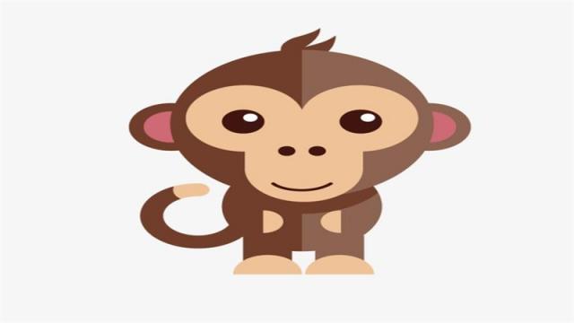 属兔与属猴能不能合作