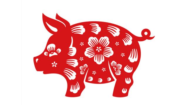 生肖蛇和生肖猪相冲如何化解