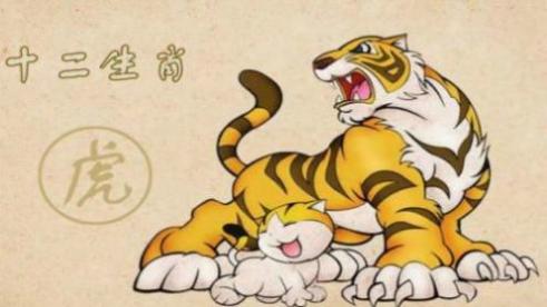 属狗的和属虎的合财吗