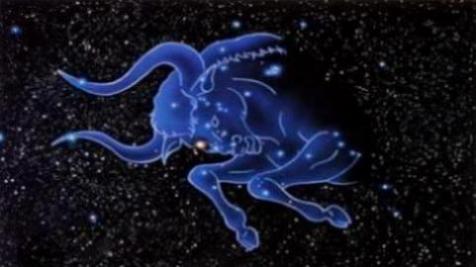 越长越美的上升星座是谁