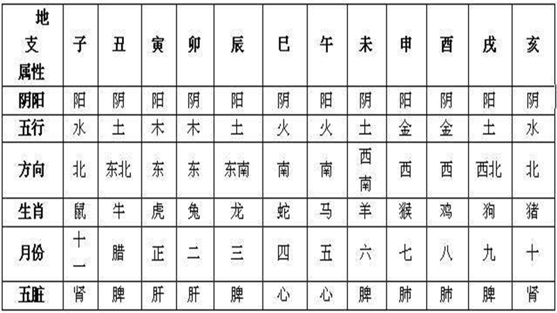 十二生肖时间段