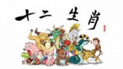 属相相冲有什么不好