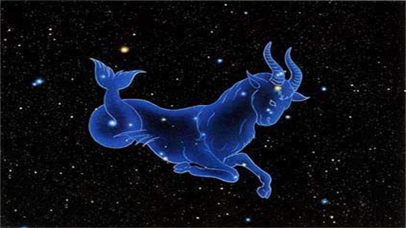 哪个星座能驾驭摩羯座