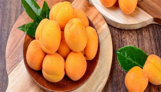 梦见吃杏是什么意思