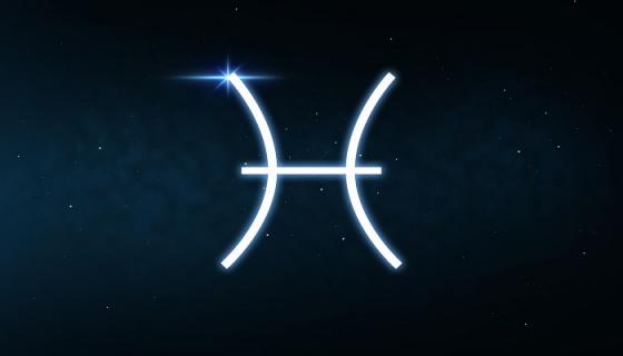 2.28号是什么星座的