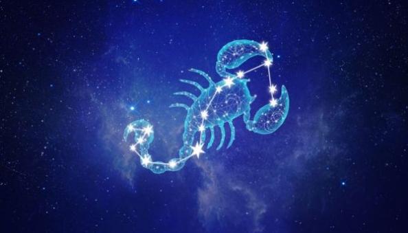 1116是什么星座