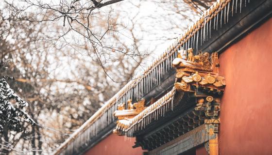 三跪九叩是什么生肖动物