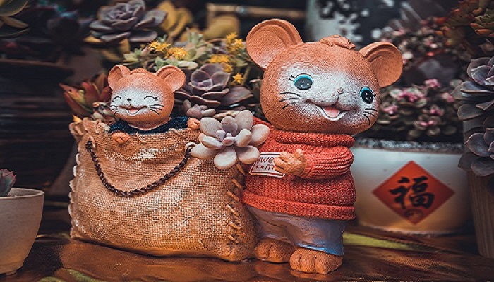 尽善尽美什么生肖