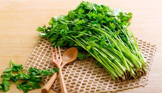 梦见香菜长的很好是什么意思