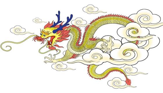烟火四射代表什么生肖