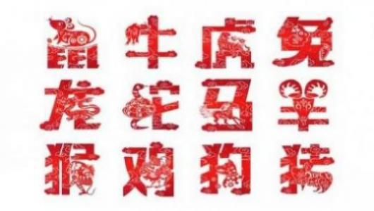 遍身金毛的动物是什么生肖