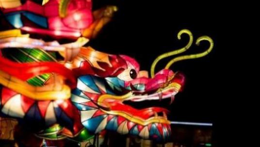 一身盔甲是哪个生肖