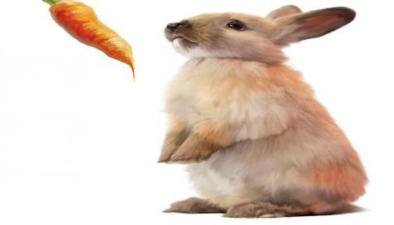 忘形的动物指什么生肖