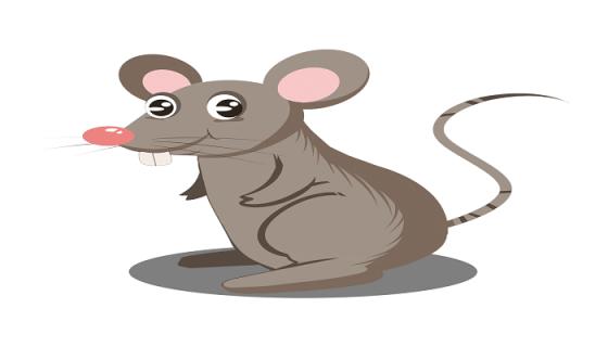 风吹皮皱代表什么生肖