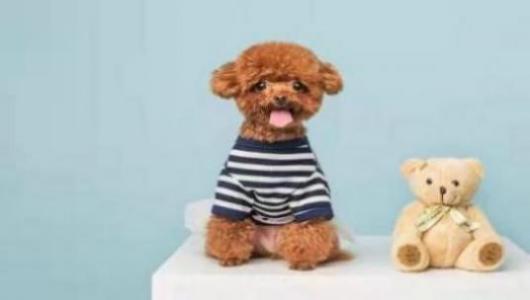 热成迎接嘉宾临猜一生肖