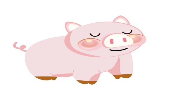 死后还把自身献打一生肖