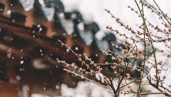梦见雨夹雪是什么意思 梦见雨夹雪有什么预兆