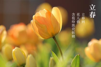 2023年立春和春节相差几天?今年是双春年好吗