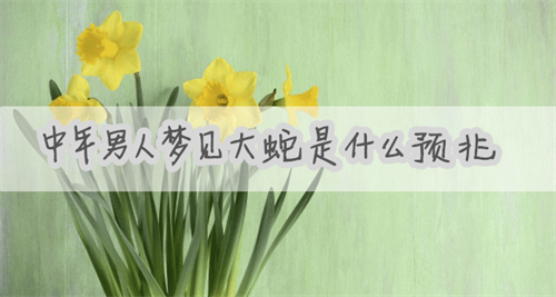 中年男人梦见大蛇是什么预兆 梦见两条大蛇是什么预兆
