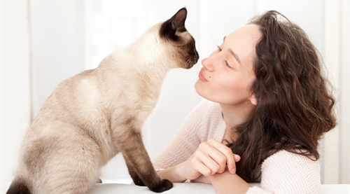 梦见猫是什么预兆女性 女性做梦梦见猫