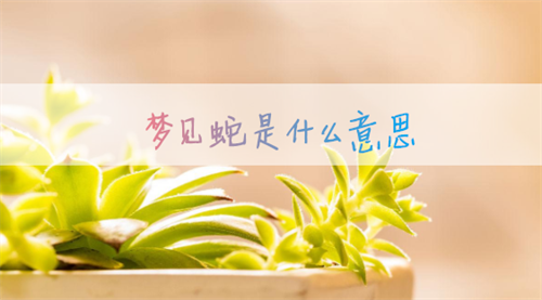 梦见蛇是什么意思 孕妇梦见蛇是什么意思