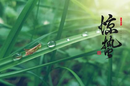 2023年惊蛰是几月几日几点几分几秒?惊蛰具体时间