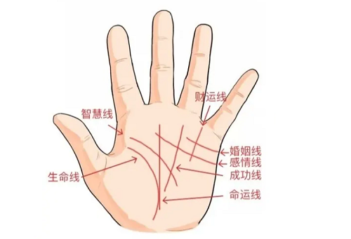 手纹线图解大全女右手 手纹线图解大全断掌
