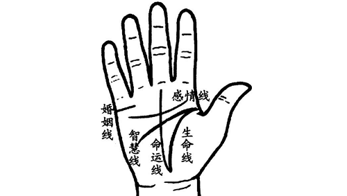 女人右手手掌纹路图解 女人手掌纹路图解右手川字纹