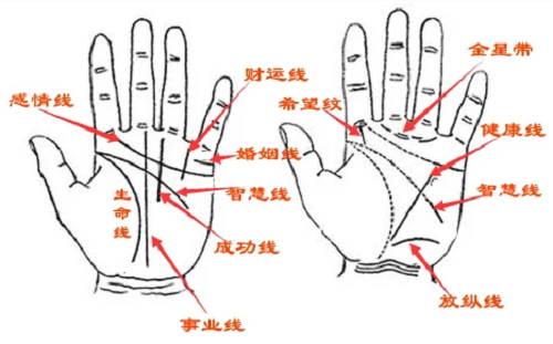 如何看手相算命图解 男人