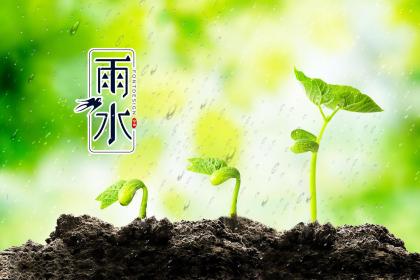 2023年雨水日子好不好？日历显示哪一天