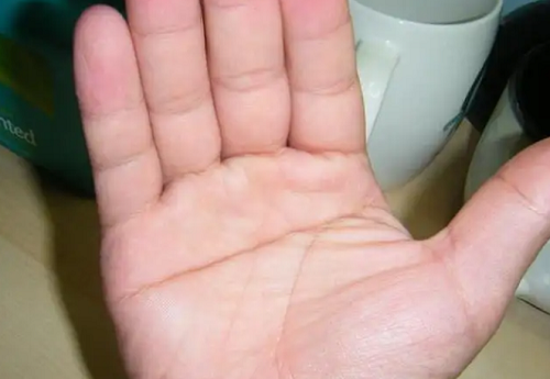 断掌纹的男人左手图片 断掌纹的男人手相