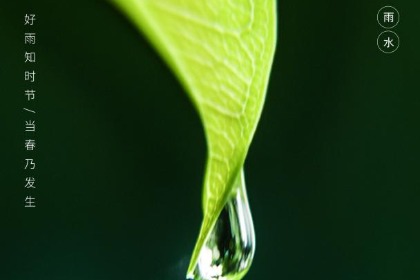 雨水节气下雨好吗？雨水节气天晴预示什么