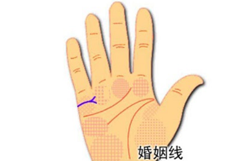 女人右手婚姻线图解大全 女人右手婚姻线图解算命