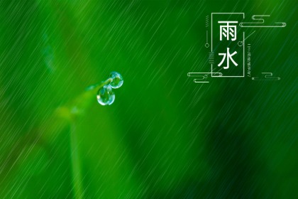 2023年雨水出生的兔宝宝五行缺什么？性格好吗？