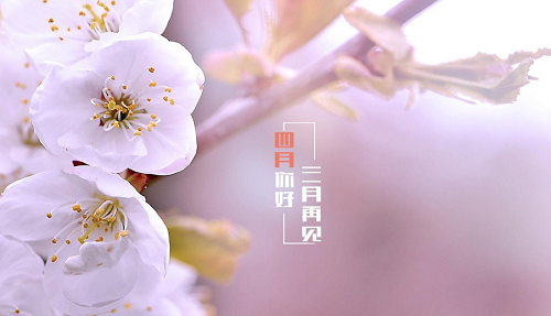 万年历老黄历查询表2023年4月 2023年万年历老黄历查询表