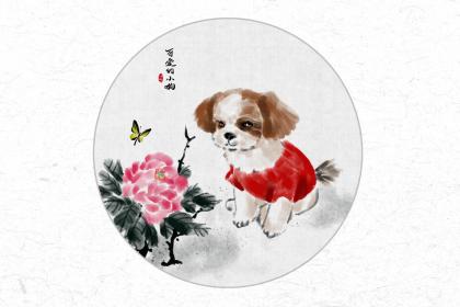 属狗最富贵的出生时辰 几时出生的属狗人命运最好