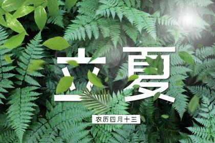 南方立夏节气吃什么 长沙地区有什么特别的立夏食俗