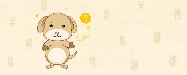 鼠和狗在一起谁带财