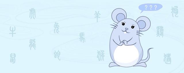 老鼠和狗属相合不合