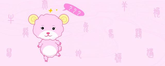 羊和鸡合不合