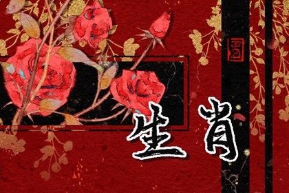 2023年属兔年 今年所有生肖兔年运势免费解答