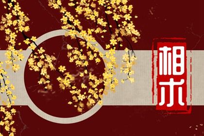男人右手断掌是什么意思？男右手断掌意味着雷厉风行